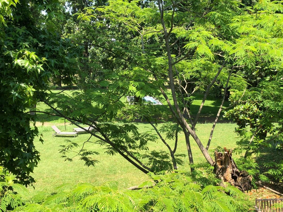 Villa Dom 皮亚琴察 外观 照片